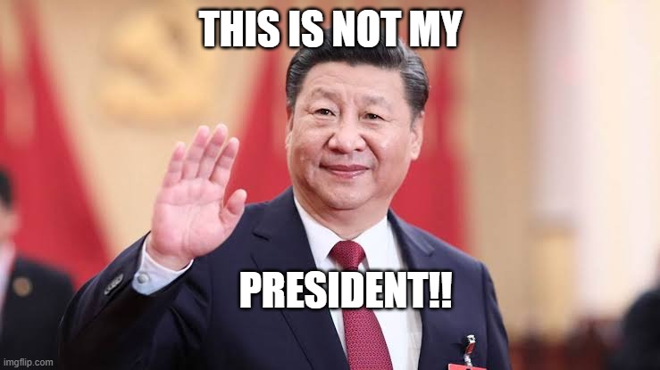 Xi Jinping | THIS IS NOT MY; PRESIDENT!! | image tagged in xi jinping | made w/ Imgflip meme maker