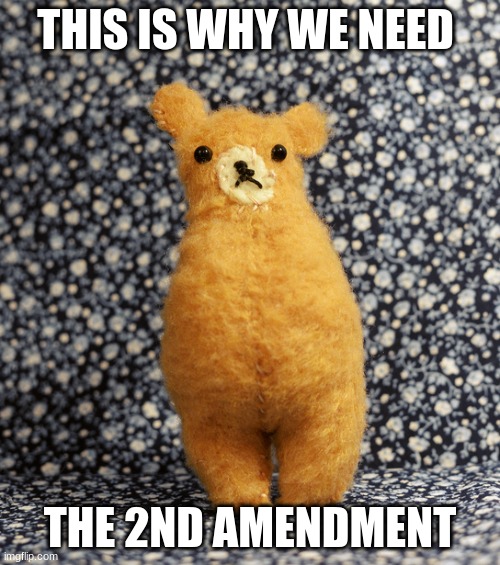THIS IS WHY WE NEED; THE 2ND AMENDMENT | image tagged in bear | made w/ Imgflip meme maker