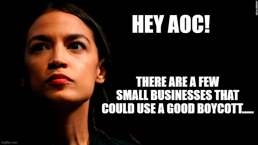 ocasio-cortez super genius | HEY AOC! THERE ARE A FEW SMALL BUSINESSES THAT COULD USE A GOOD BOYCOTT..... | image tagged in ocasio-cortez super genius | made w/ Imgflip meme maker