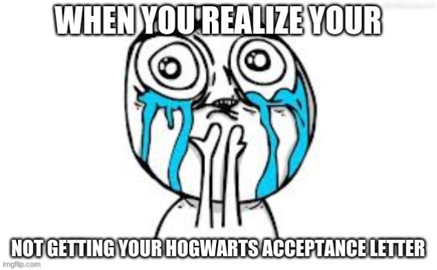 WWWAAAYYY NNNOOOTTT MMMEEE! | image tagged in harry potter meme | made w/ Imgflip meme maker