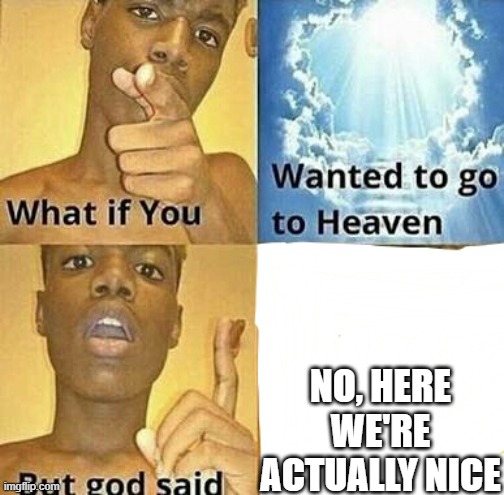 What if you wanted to go to Heaven | NO, HERE WE'RE ACTUALLY NICE | image tagged in what if you wanted to go to heaven | made w/ Imgflip meme maker