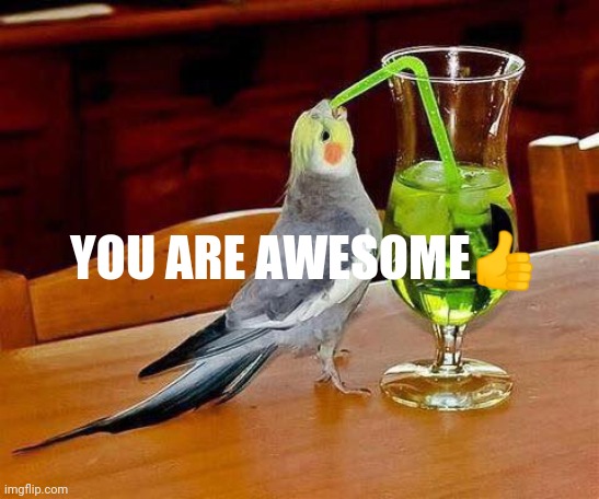 Big Sip | YOU ARE AWESOME👍 | image tagged in big sip | made w/ Imgflip meme maker