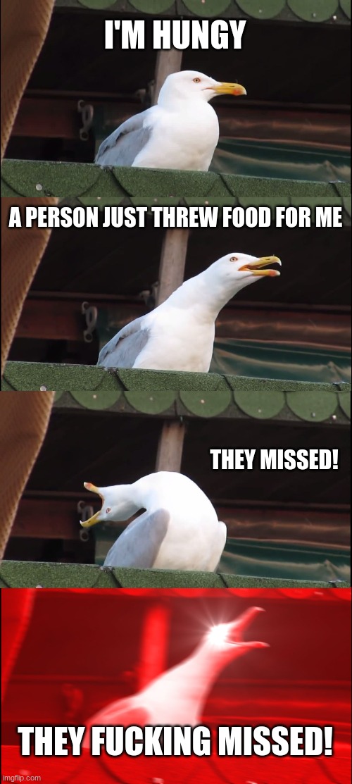 Inhaling Seagull Meme | I'M HUNGY; A PERSON JUST THREW FOOD FOR ME; THEY MISSED! THEY FUCKING MISSED! | image tagged in memes,inhaling seagull | made w/ Imgflip meme maker