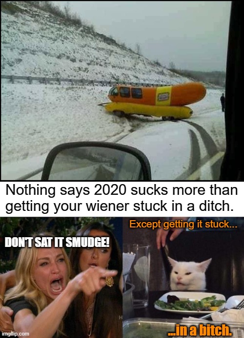 Nothing says 2020 sucks more than
getting your wiener stuck in a ditch. Except getting it stuck... DON'T SAT IT SMUDGE! ...in a bitch. | image tagged in memes,woman yelling at cat | made w/ Imgflip meme maker