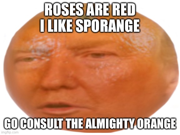 I didn’t make the picture tho | ROSES ARE RED
I LIKE SPORANGE; GO CONSULT THE ALMIGHTY ORANGE | image tagged in orange,trumpet | made w/ Imgflip meme maker