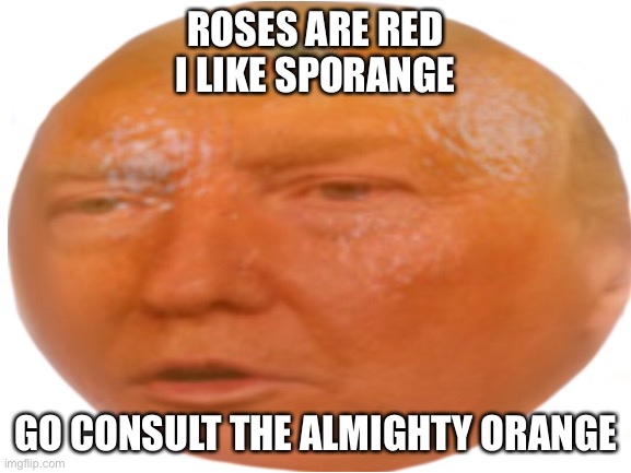 Image wasn’t made by me | ROSES ARE RED
I LIKE SPORANGE; GO CONSULT THE ALMIGHTY ORANGE | image tagged in trumpet,orange | made w/ Imgflip meme maker
