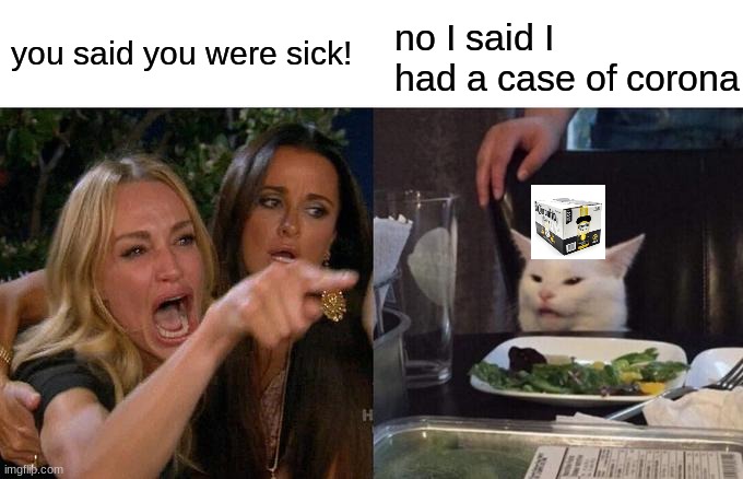 hehe | you said you were sick! no I said I had a case of corona | image tagged in memes,woman yelling at cat | made w/ Imgflip meme maker