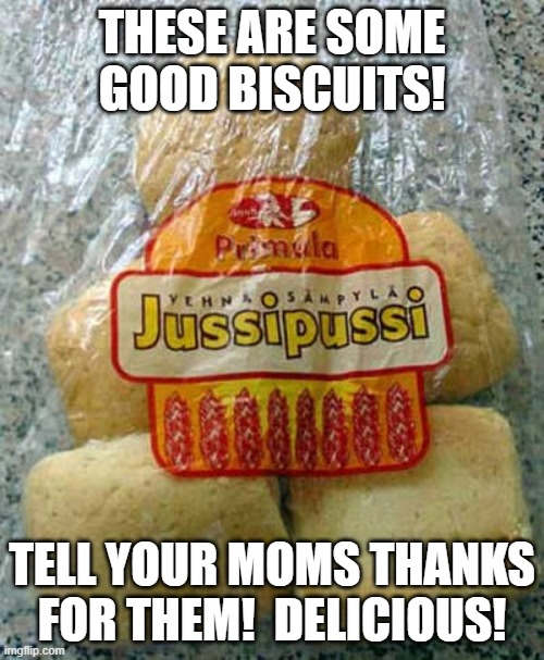 Good biscuit | THESE ARE SOME GOOD BISCUITS! TELL YOUR MOMS THANKS FOR THEM!  DELICIOUS! | image tagged in food,funny names | made w/ Imgflip meme maker