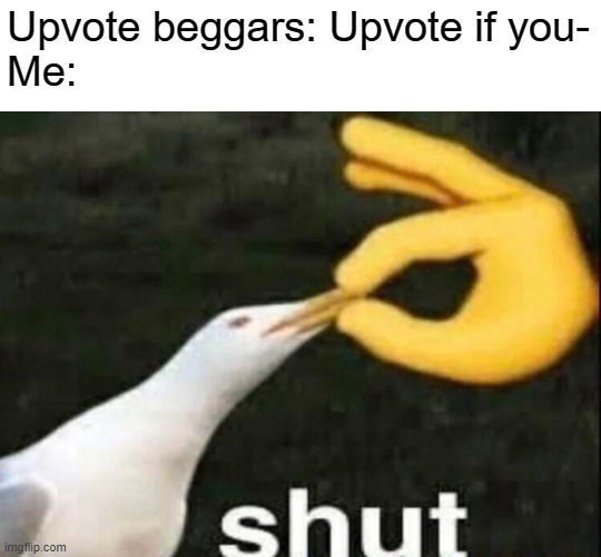 Don't you just hate upvote beggars? | Upvote beggars: Upvote if you-
Me: | image tagged in memes,shut,upvote beggars,funny,stop reading the tags,pie charts | made w/ Imgflip meme maker