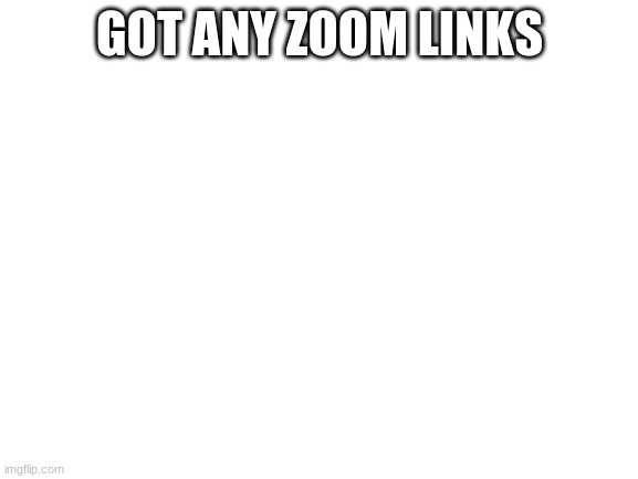 yes | GOT ANY ZOOM LINKS | image tagged in blank white template | made w/ Imgflip meme maker