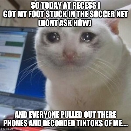 I'm kinda famous now tho | SO TODAY AT RECESS I GOT MY FOOT STUCK IN THE SOCCER NET
(DONT ASK HOW); AND EVERYONE PULLED OUT THERE PHONES AND RECORDED TIKTOKS OF ME.... | image tagged in crying cat,sad | made w/ Imgflip meme maker