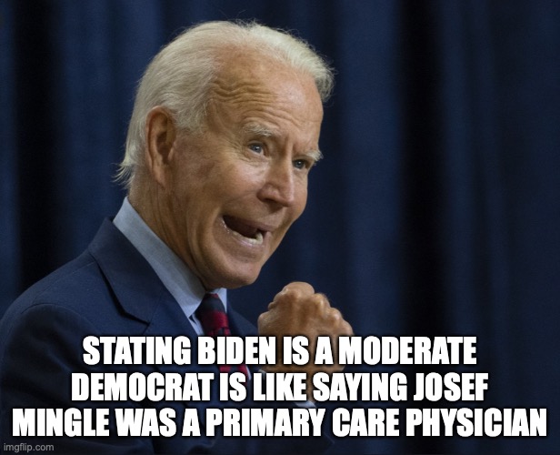 Biden | STATING BIDEN IS A MODERATE DEMOCRAT IS LIKE SAYING JOSEF MINGLE WAS A PRIMARY CARE PHYSICIAN | image tagged in democrat | made w/ Imgflip meme maker