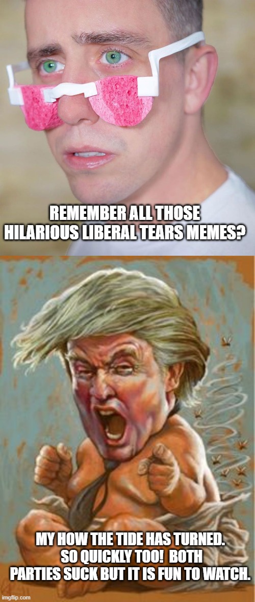 Liberal and Conservative tears taste the same. | REMEMBER ALL THOSE HILARIOUS LIBERAL TEARS MEMES? MY HOW THE TIDE HAS TURNED.  SO QUICKLY TOO!  BOTH PARTIES SUCK BUT IT IS FUN TO WATCH. | image tagged in liberal tears,trump-crybaby | made w/ Imgflip meme maker