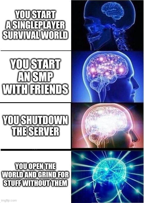 Expanding Brain | YOU START A SINGLEPLAYER SURVIVAL WORLD; YOU START AN SMP WITH FRIENDS; YOU SHUTDOWN THE SERVER; YOU OPEN THE WORLD AND GRIND FOR STUFF WITHOUT THEM | image tagged in memes,expanding brain | made w/ Imgflip meme maker