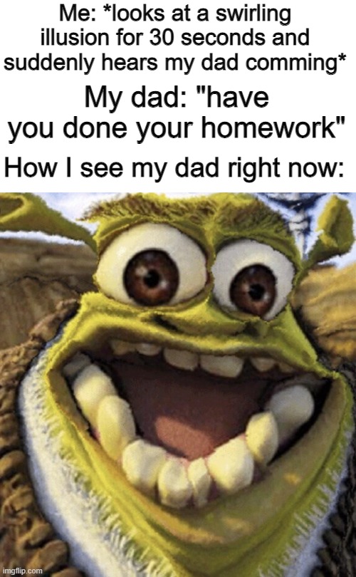 oml xD | Me: *looks at a swirling illusion for 30 seconds and suddenly hears my dad comming*; My dad: "have you done your homework"; How I see my dad right now: | image tagged in distorted shrek,illusions | made w/ Imgflip meme maker