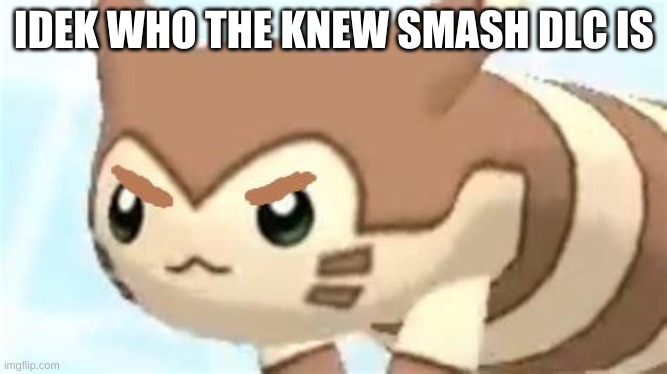 angry furret | IDEK WHO THE KNEW SMASH DLC IS | image tagged in angry furret | made w/ Imgflip meme maker