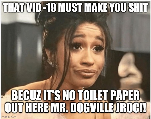 As Per My Last Email | THAT VID -19 MUST MAKE YOU SHIT; BECUZ IT'S NO TOILET PAPER OUT HERE MR. DOGVILLE JROC!! | image tagged in as per my last email | made w/ Imgflip meme maker