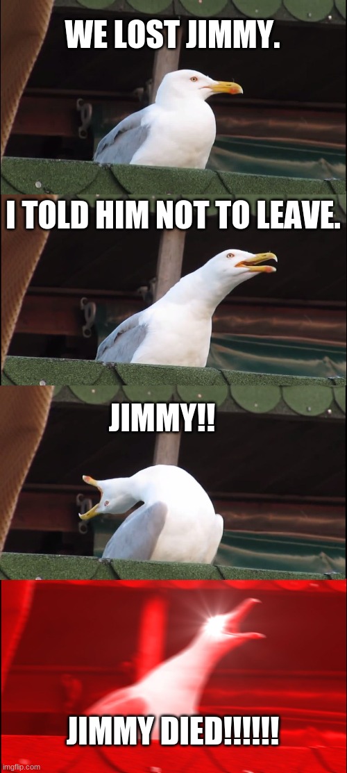 Never be Jimmy! | WE LOST JIMMY. I TOLD HIM NOT TO LEAVE. JIMMY!! JIMMY DIED!!!!!! | image tagged in memes,inhaling seagull,jimmy | made w/ Imgflip meme maker