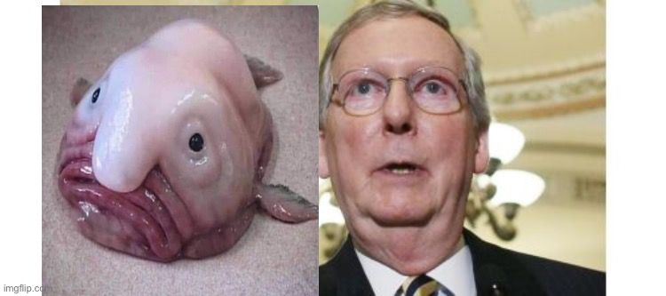 Mitch McConnell Meme | image tagged in memes,mitch mcconnell | made w/ Imgflip meme maker