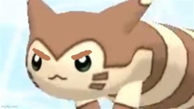 angry furret | image tagged in angry furret | made w/ Imgflip meme maker
