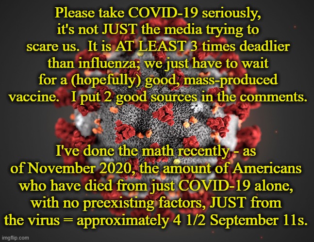 Protect your senior citizen family and friends - it's NOT a hoax! | Please take COVID-19 seriously, it's not JUST the media trying to scare us.  It is AT LEAST 3 times deadlier than influenza; we just have to wait for a (hopefully) good, mass-produced vaccine.   I put 2 good sources in the comments. I've done the math recently - as of November 2020, the amount of Americans who have died from just COVID-19 alone, with no preexisting factors, JUST from the virus = approximately 4 1/2 September 11s. | image tagged in deadly,covid-19,coronavirus,vaccine,flu | made w/ Imgflip meme maker