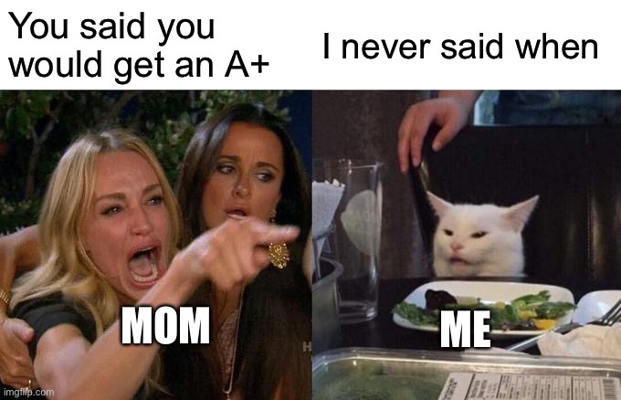 Woman Yelling At Cat | You said you would get an A+; I never said when; MOM; ME | image tagged in memes,woman yelling at cat | made w/ Imgflip meme maker