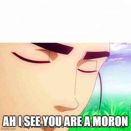 Ah,I see you are a man of culture as well | AH I SEE YOU ARE A MORON | image tagged in ah i see you are a man of culture as well | made w/ Imgflip meme maker