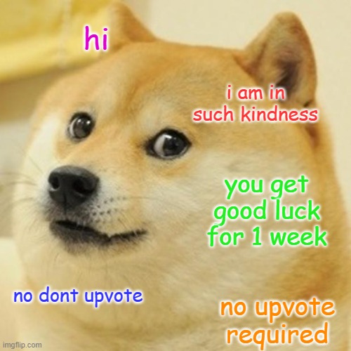 doge of much luck | hi; i am in such kindness; you get good luck for 1 week; no dont upvote; no upvote required | image tagged in memes,doge | made w/ Imgflip meme maker