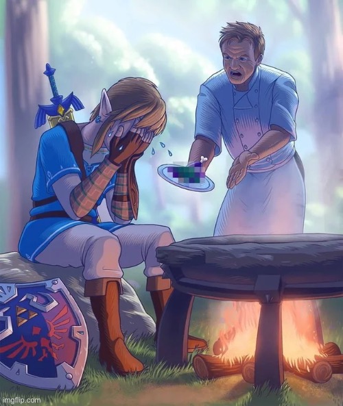 Jokes on him I make Cakes and Curry frequently in BOTW | image tagged in gordon ramsay yelling at link | made w/ Imgflip meme maker