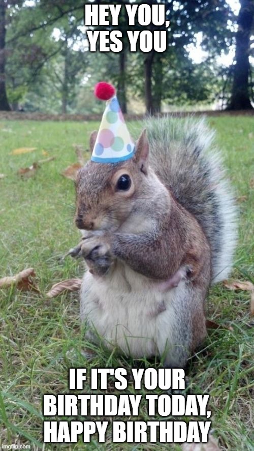 Super Birthday Squirrel | HEY YOU, YES YOU; IF IT'S YOUR BIRTHDAY TODAY, HAPPY BIRTHDAY | image tagged in memes,super birthday squirrel | made w/ Imgflip meme maker