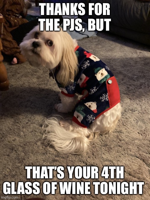 Judgmental dog in pjs | THANKS FOR THE PJS, BUT; THAT’S YOUR 4TH GLASS OF WINE TONIGHT | image tagged in dog in pajamas | made w/ Imgflip meme maker