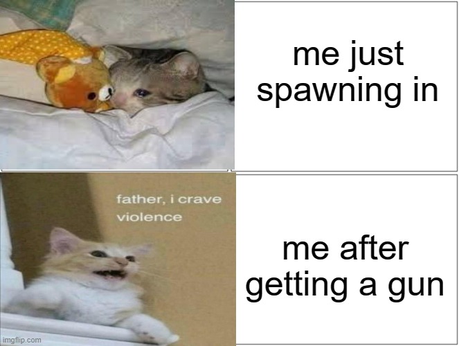 idk what title should i do |  me just spawning in; me after getting a gun | image tagged in cats,cat,gaming | made w/ Imgflip meme maker
