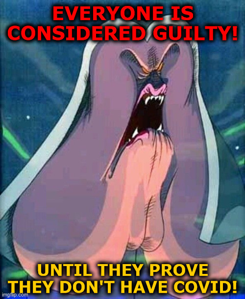 Everyone is considered guilty! | EVERYONE IS
CONSIDERED GUILTY! UNTIL THEY PROVE
THEY DON'T HAVE COVID! | image tagged in judge from pink floyd's the wall,pink floyd,the wall,scamdemic,covid-19,guilty | made w/ Imgflip meme maker