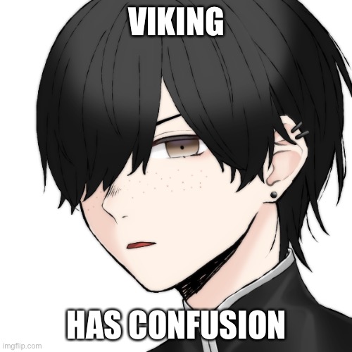 VIKING HAS CONFUSION | made w/ Imgflip meme maker
