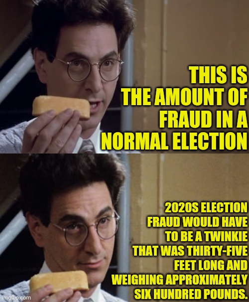 2020 Election Fraud Twinkie | THIS IS THE AMOUNT OF FRAUD IN A NORMAL ELECTION; 2020S ELECTION FRAUD WOULD HAVE TO BE A TWINKIE THAT WAS THIRTY-FIVE FEET LONG AND WEIGHING APPROXIMATELY SIX HUNDRED POUNDS. | image tagged in egon twinkie,ghostbusters,trump 2020,election 2020,donald trump,joe biden | made w/ Imgflip meme maker