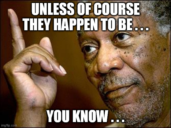 This Morgan Freeman | UNLESS OF COURSE THEY HAPPEN TO BE . . . YOU KNOW . . . | image tagged in this morgan freeman | made w/ Imgflip meme maker