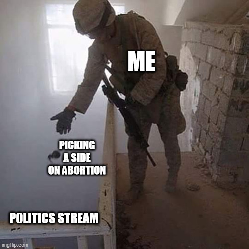 Grenade Drop | ME; PICKING A SIDE ON ABORTION; POLITICS STREAM | image tagged in grenade drop,abortion,abortion is murder,pro choice,pro life | made w/ Imgflip meme maker