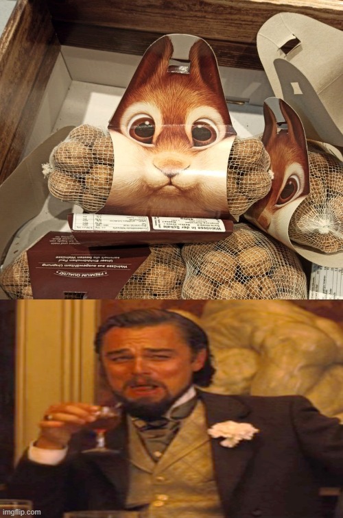 Give the designer award | image tagged in package,food,squirrel,leonardo dicaprio laughing | made w/ Imgflip meme maker