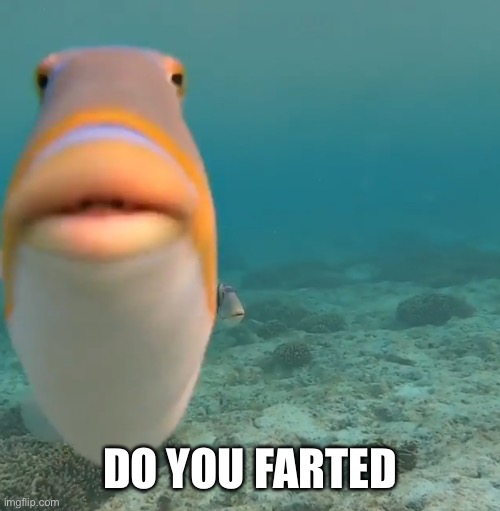 DO YOU FART | DO YOU FARTED | image tagged in do you fart | made w/ Imgflip meme maker