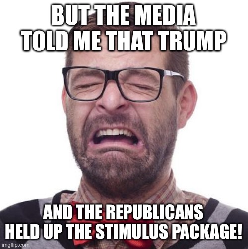 BUT THE MEDIA TOLD ME THAT TRUMP AND THE REPUBLICANS HELD UP THE STIMULUS PACKAGE! | made w/ Imgflip meme maker