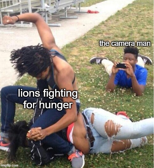 shows be like | the camera man; lions fighting for hunger | image tagged in guy recording a fight | made w/ Imgflip meme maker