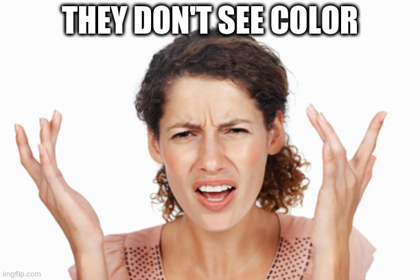 Indignant | THEY DON'T SEE COLOR | image tagged in indignant | made w/ Imgflip meme maker