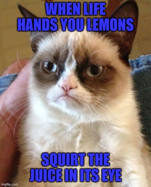 Grumpy Cat Meme | WHEN LIFE HANDS YOU LEMONS; SQUIRT THE JUICE IN ITS EYE | image tagged in memes,grumpy cat | made w/ Imgflip meme maker