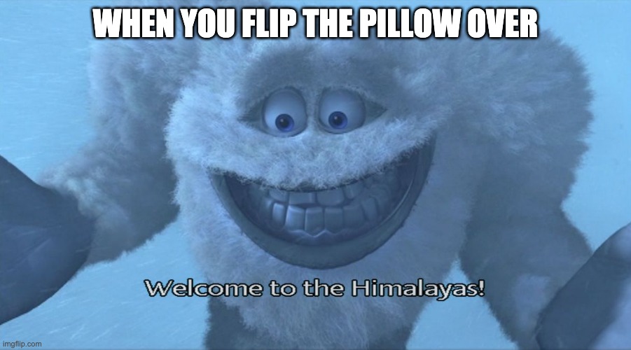Welcome to the himalayas | WHEN YOU FLIP THE PILLOW OVER | image tagged in welcome to the himalayas | made w/ Imgflip meme maker