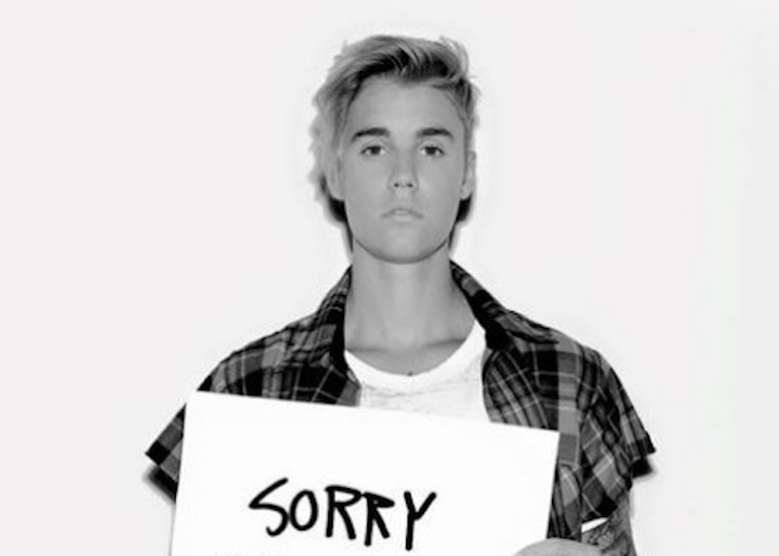 High Quality Justin Bieber sorry Blank Meme Template