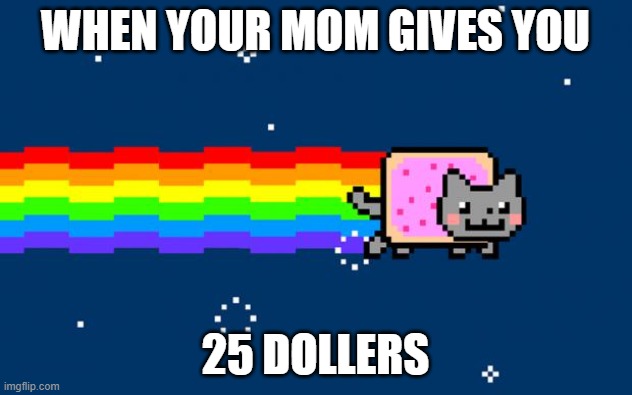 Whem Your Mom Gives you 25 dollers | WHEN YOUR MOM GIVES YOU; 25 DOLLERS | image tagged in nyan cat | made w/ Imgflip meme maker