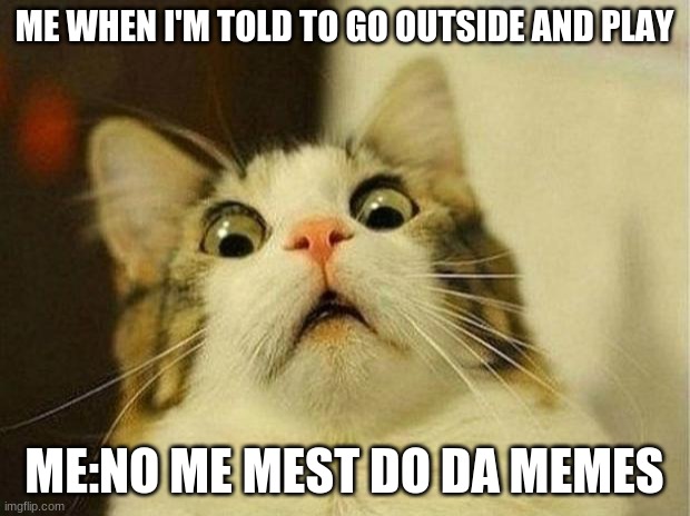 Scared Cat | ME WHEN I'M TOLD TO GO OUTSIDE AND PLAY; ME:NO ME MEST DO DA MEMES | image tagged in memes,scared cat | made w/ Imgflip meme maker