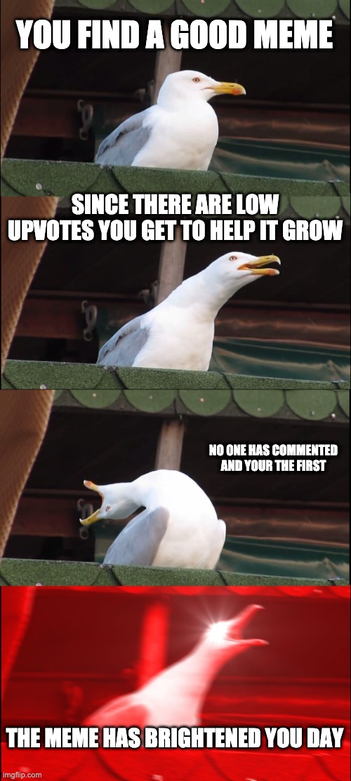 Inhaling Seagull Meme | YOU FIND A GOOD MEME SINCE THERE ARE LOW UPVOTES YOU GET TO HELP IT GROW NO ONE HAS COMMENTED AND YOUR THE FIRST THE MEME HAS BRIGHTENED YOU | image tagged in memes,inhaling seagull | made w/ Imgflip meme maker