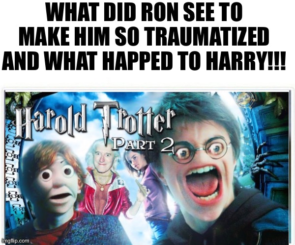 WHAT DID RON SEE TO MAKE HIM SO TRAUMATIZED AND WHAT HAPPED TO HARRY!!! | made w/ Imgflip meme maker