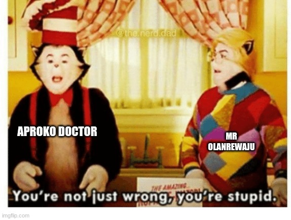 You're not just wrong your stupid | APROKO DOCTOR MR OLANREWAJU | image tagged in you're not just wrong your stupid | made w/ Imgflip meme maker